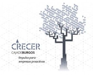 Programa Crecer FCB