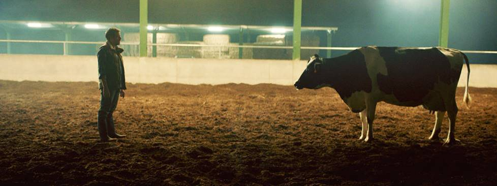 Pascual campaña comunicación